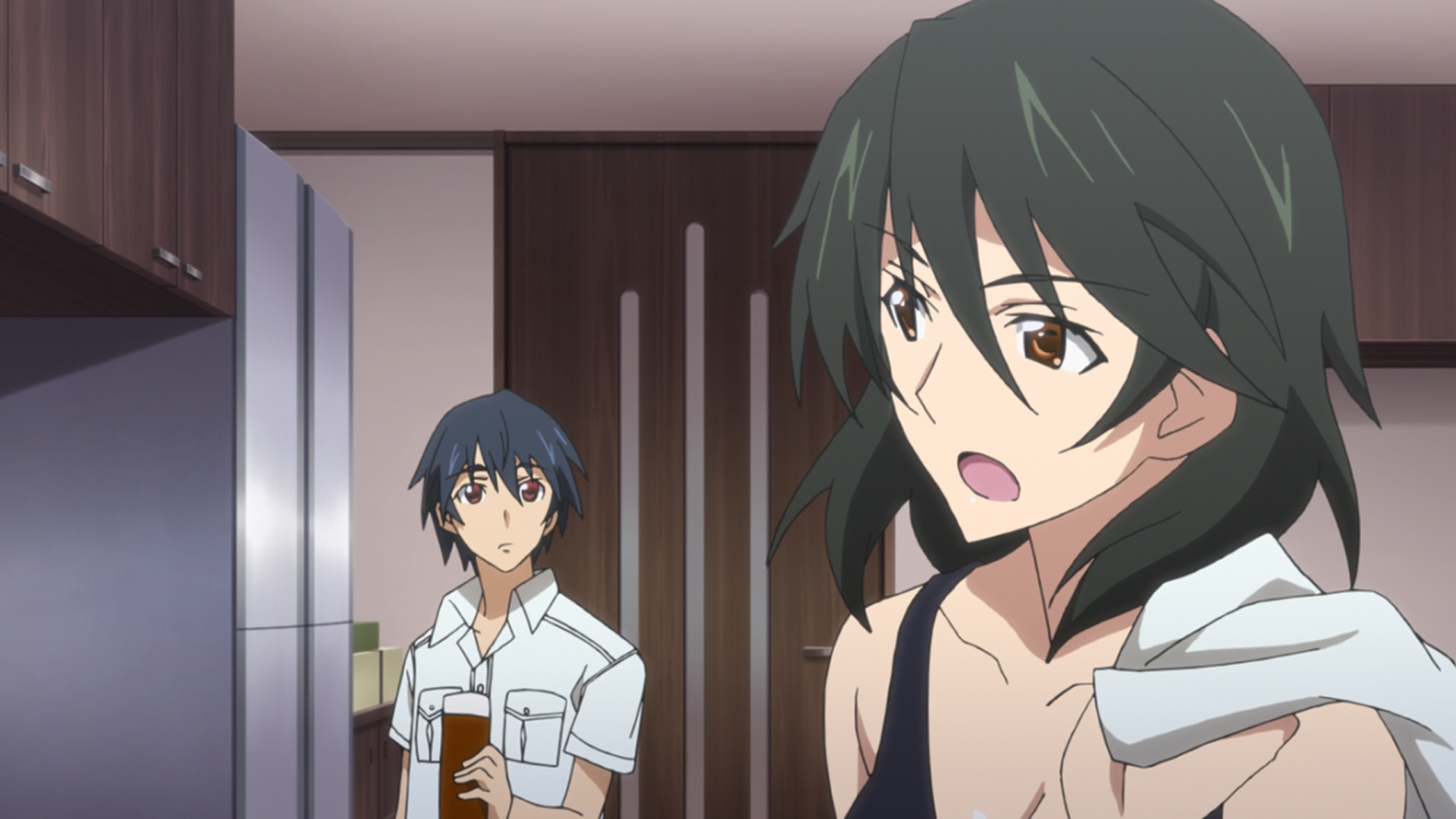 IS: Infinite Stratos - miruanimenet